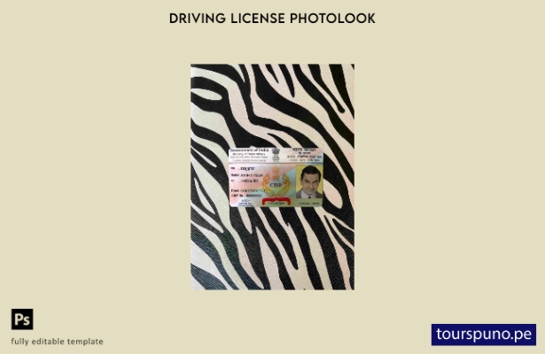 listo para imprimir plantilla FRONTAL de aspecto fotográfico CISF DL de India
